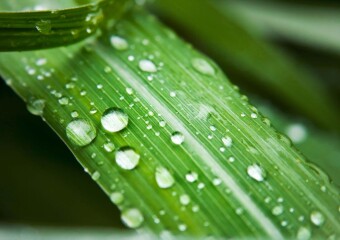Meine Ausstellungen 1 Regentropfen