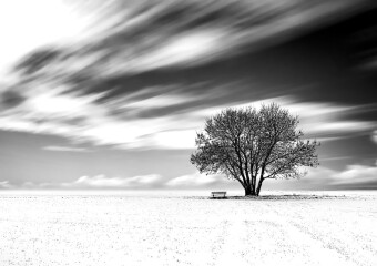 Landschafts- und Städtefotografie 7 rohaartsfotografie-portfolio-landschaft-und-staedte-000103