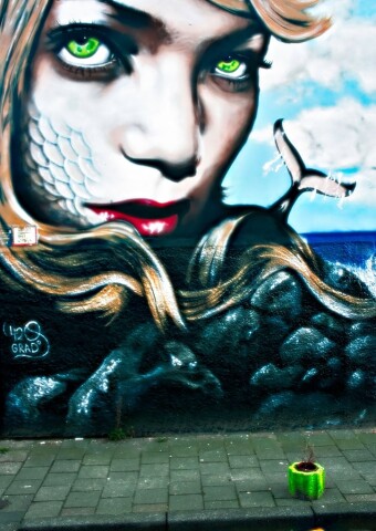 Meine Ausstellungen 39 rohaartsfotografie-ausstellung-buergerhaus-weserterrassen-000026