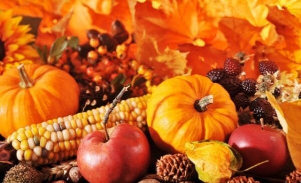 Früchte und Gemüse des Herbstes