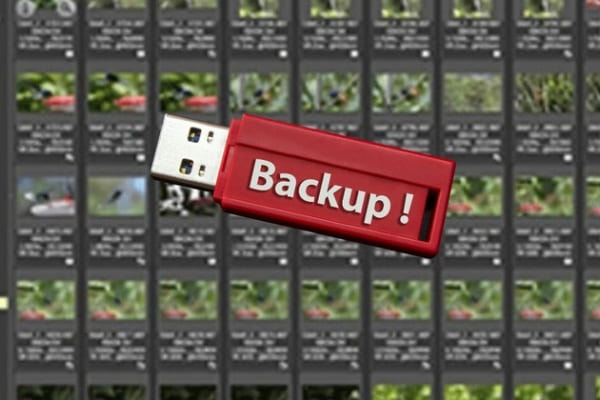 Teil einer Übersicht eines Lightroom Katalogs mit einem USB Stick mit Aufschrift Backup für den Artikel Lightroom Katalog sichern und wiederherstellen