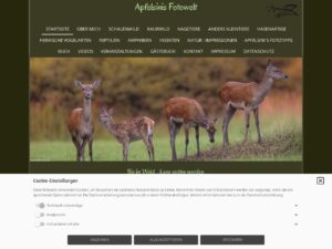 ApfelsinisFotowelt1756247397