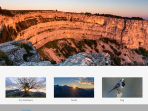 Blogroll - Meine Lieblingslinks 5 DieterRoth1773785286