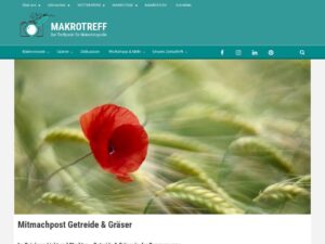 MakrotreffRolandGnter1754434096