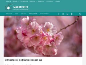 Blogroll - Meine Lieblingslinks 24 MakrotreffRolandGnter1778021140