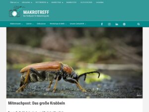 Blogroll - Meine Lieblingslinks 11 MakrotreffRolandGnter1784069378
